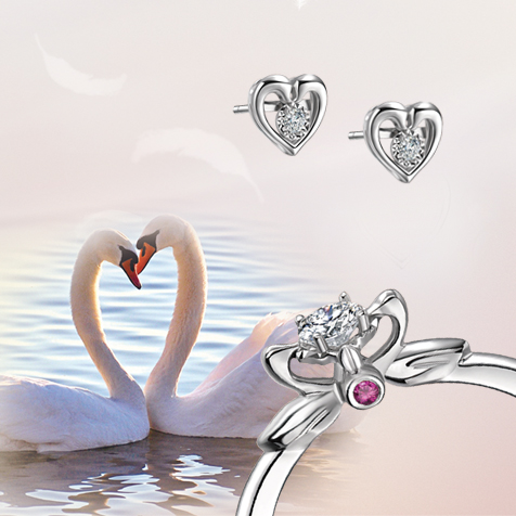 請?zhí)顚憳?biāo)題